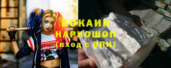 гашик Алексеевка
