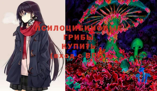 гашик Алексеевка